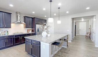 16021 Williams Pl, Broomfield, CO 80023