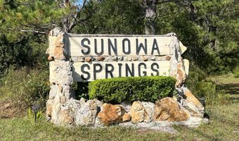 0 SUNOWA SPRINGS Trl, Bryceville, FL 32009