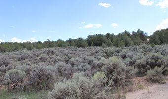 Tract 11 Trementina, Arroyo Hondo, NM 87513