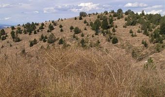 C.O.S. 224A NW4, Anaconda, MT 59711