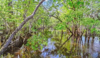 7095 Parkers Ferry Rd, Adams Run, SC 29426