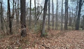 1089 Damascus Dr, Ball Ground, GA 30107