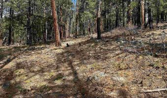 101 Pine Crest Dr, Bayfield, CO 81122