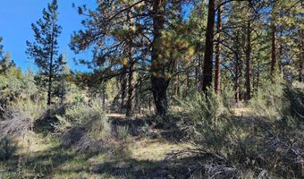 Jaguar Lane 29, Bonanza, OR 97623