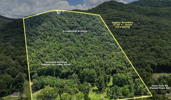TBD Paint Fork Rd, Barnardsville, NC 28709