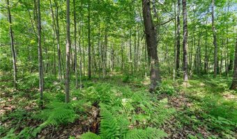 59971 Cloverdale Rd, Askov, MN 55704