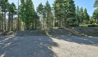 Vail Overlook S lot 323, Angel Fire, NM 87710