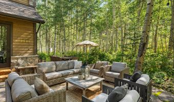 9555 Castle Creek Rd, Aspen, CO 81611
