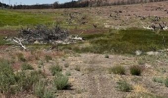 Hwy 395 unit 1 1, Gardnerville, NV 89410