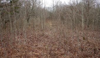 County Route 16, Angelica, NY 14709