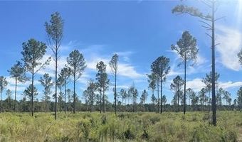 Tbd CR 4328, De Kalb, TX 75559