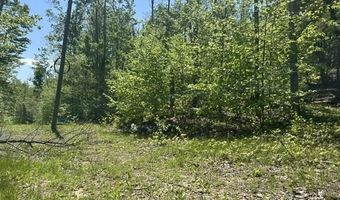 5436 Valley Rd, Alanson, MI 49706