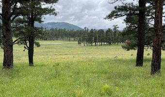 1 A FOREST ROAD 26, Alpine, AZ 85920