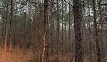 0- Lot 7 Piney Mountain Rd, Appomattox, VA 24522