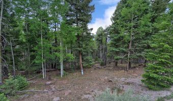El Camino Real lot 453, Angel Fire, NM 87710
