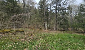 563 Simonsville Rd, Andover, VT 05143