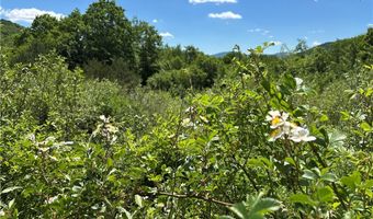 2636 Murphy Hill Rd, Andes, NY 13731
