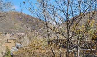 534 536 Spruce St, Aspen, CO 81611