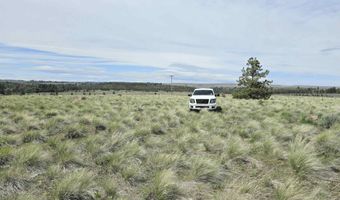 226 Duree Rd, Bickleton, WA 99322