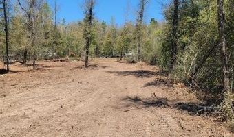 BLK 211 Vancouver Drive lot 21, Alford, FL 32420