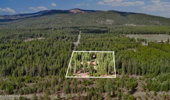 181 E Deer Meadow Ln, Blanchard, ID 83804
