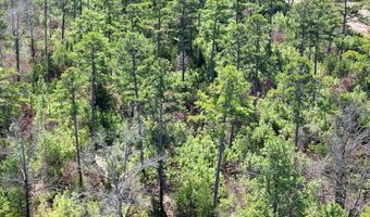 E1930 RD, Antlers, OK 74523