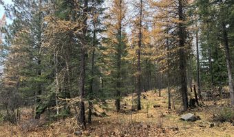 NKA Birdpoint Rd, Bonners Ferry, ID 83805