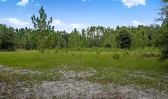 3749 SW 22nd Pl, Bell, FL 32619