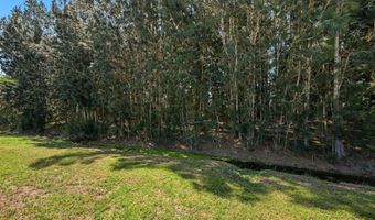 421 Papaya Cir, Barefoot Bay, FL 32976