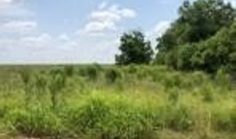 Cabrol Road lot 2, Abbeville, LA 70510