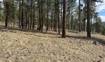 31760 HWY 10 W, Alberton, MT 59820