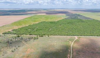 CR 260, Anson, TX 79501