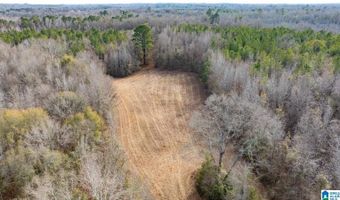 BRUSH CREEK DRIVE lot 0, Akron, AL 35441