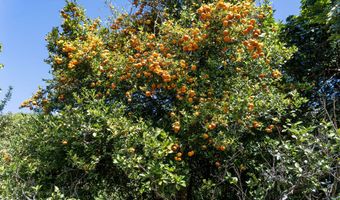 81-1045 KEOPUKA MAUKA Rd, Captain Cook, HI 96750