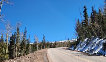 653 N Utah HWY 143, Brian Head, UT 84719