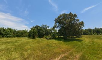 N County Road 113, Alton, MO 65606