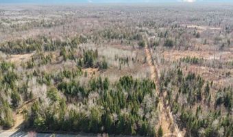 6002 Wildwood, Alger, MI 48610