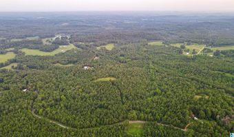 200 TABLEE LANE Lot 17.65, Ashland, AL 36251