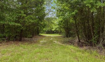 115355 115353 CR 2501, Alto, TX 75925