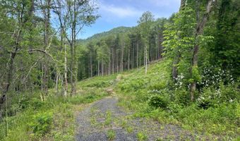 Pumpkin Patch Road, Bakersville, NC 28705