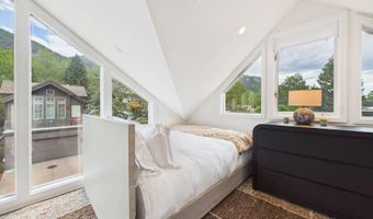 915 E Hopkins Ave 4, Aspen, CO 81611