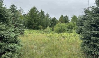 LOT 41 POINT TRAIL, Wisconsin Rapids, WI 54494