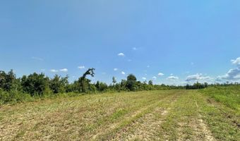 Ms-25, Brandon, MS 39047