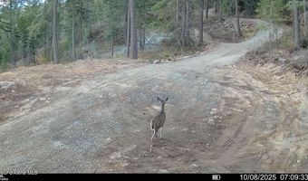 NKA Birdpoint Rd, Bonners Ferry, ID 83805