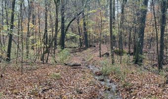 1 8 Miles Due South Down Anding Oil City Rd, Bentonia, MS 39040