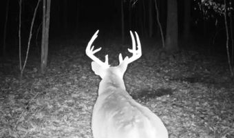 15548 Highway 15 N, Ackerman, MS 39735