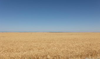 1 Vacant Land Penrith, Bennett, CO 80102
