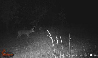 8752 HWY A, Almond, WI 54909