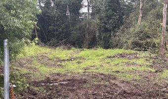RAILRD RD, Keaau, HI 96749