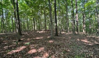 10 97 AC H R Huffer Ln, Allons, TN 38541